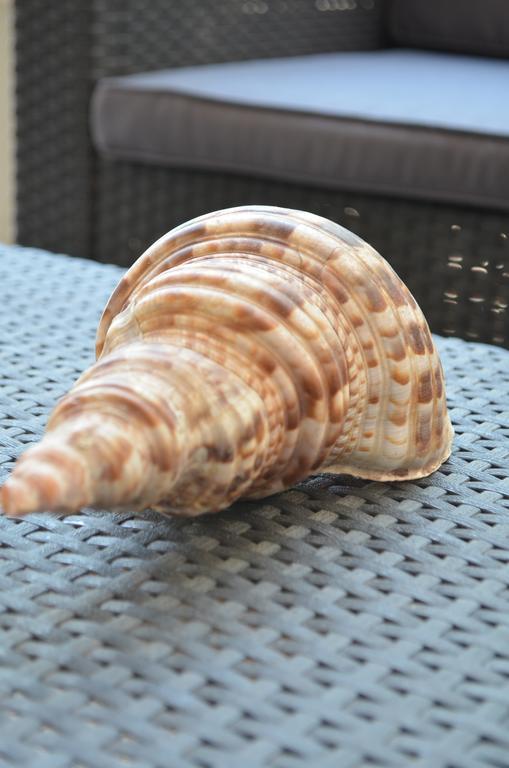 Ammos Beach Glífa Eksteriør billede
